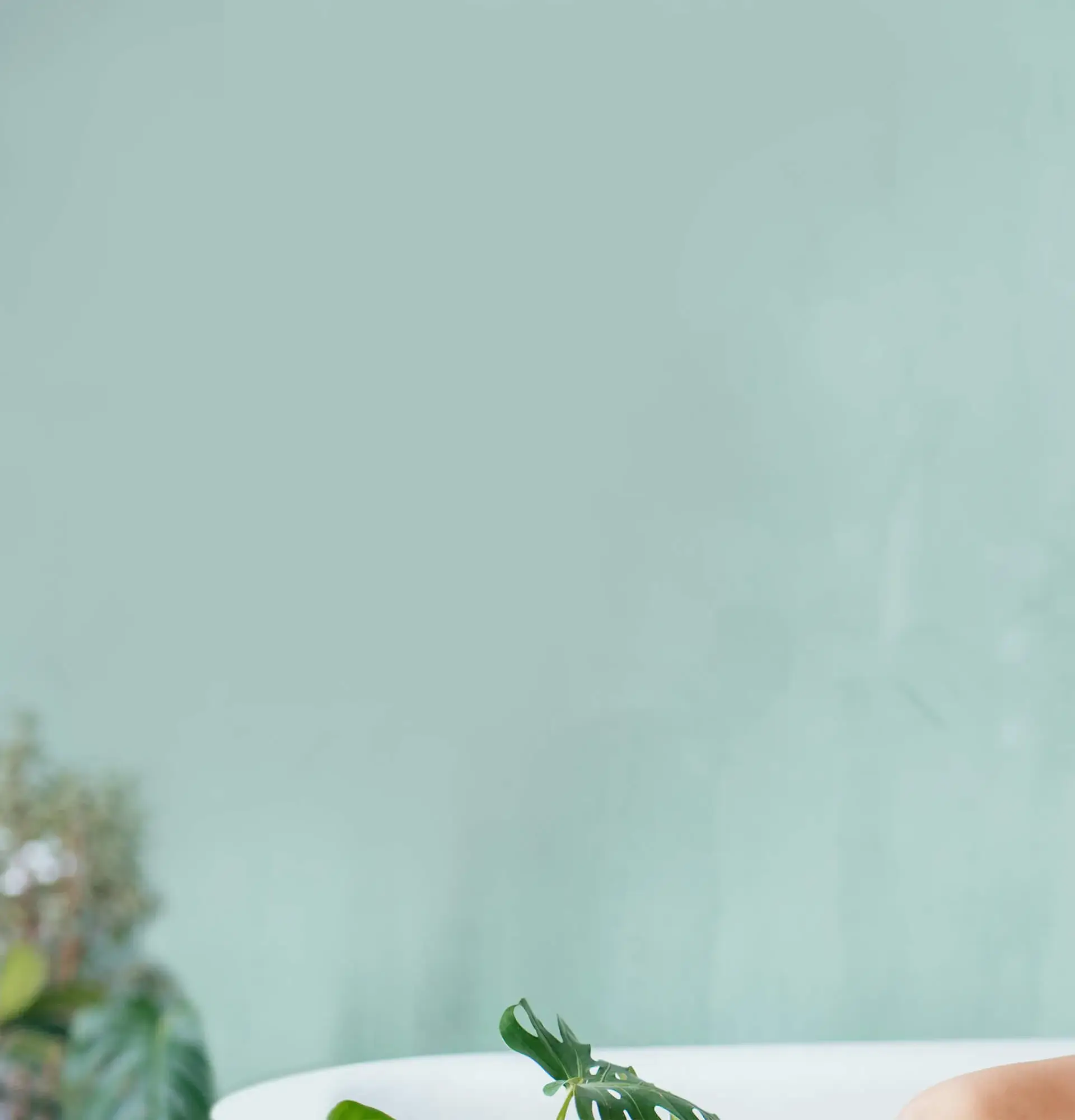 Demo-Horizon-Set-2-Slide-03